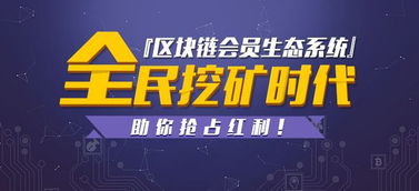 深圳開發(fā)'狼來了'靜態(tài)分紅模式軟件的費用構(gòu)成與解析